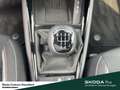 Skoda Kamiq Selection Lenkrad heizbar Winter-Paket LM-Felgen 6 Grau - thumbnail 19