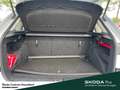 Skoda Kamiq Selection Lenkrad heizbar Winter-Paket LM-Felgen 6 Grau - thumbnail 10