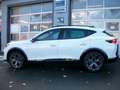 CUPRA Formentor FORMENTOR 1.5 ETSI DSG NAVI AHZV-VORBER. SITZH. Weiß - thumbnail 12