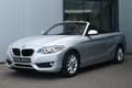 BMW 218 2-serie Cabrio 218i Centennial Executive Grau - thumbnail 5