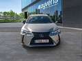Lexus UX 250h Business 2WD Gris - thumbnail 2