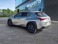 Lexus UX 250h Business 2WD Gris - thumbnail 6