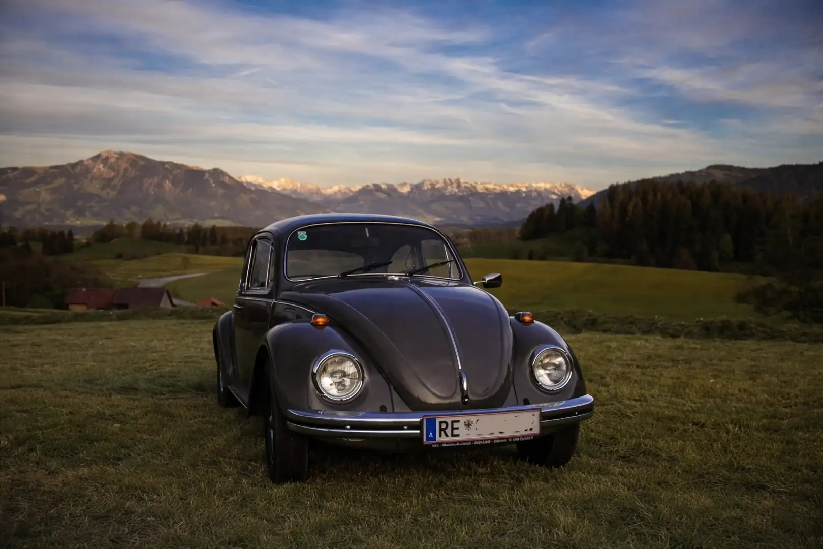 Volkswagen Käfer - 1