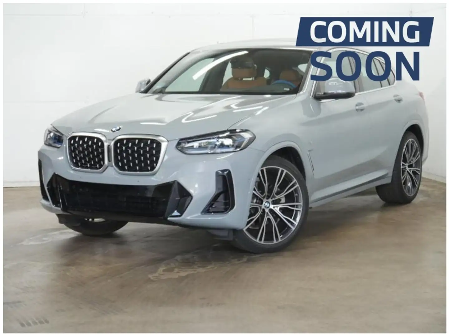 BMW X4 M SPORT - PANODAK - LASERS - Gris - 1