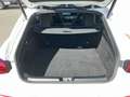 Mercedes-Benz CLA 200 d Shooting Brake *AMG Line Premium, TOP-Ausst. NP Blanco - thumbnail 15