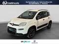Fiat Panda 1.0 FireFly S&S Hybrid City Cross Bianco - thumbnail 1