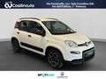 Fiat Panda 1.0 FireFly S&S Hybrid City Cross Bianco - thumbnail 7
