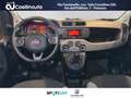 Fiat Panda 1.0 FireFly S&S Hybrid City Cross Bianco - thumbnail 11