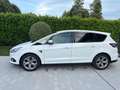Ford S-Max S-MAX Titanium 2.0 TDCi Auto-Start/Stop Aut. Titanium Weiß - thumbnail 14