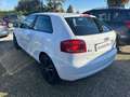 Audi A3 1.6 TDI 105 CV CR Ambition Bianco - thumbnail 5