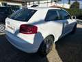Audi A3 1.6 TDI 105 CV CR Ambition Bianco - thumbnail 6