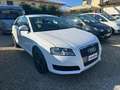 Audi A3 1.6 TDI 105 CV CR Ambition Bianco - thumbnail 4