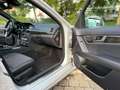 Mercedes-Benz C 350 AMG(BlueEFFICIENCY) 7G-TRONIC Avantgarde*Xenon* Plateado - thumbnail 15