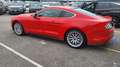 Ford Mustang Fastback 2.3 Ecoboost Rosso - thumbnail 3