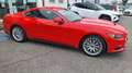 Ford Mustang Fastback 2.3 Ecoboost Rot - thumbnail 5