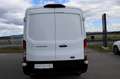 Ford Transit Transit Kasten 2,0 EcoBlue L3H2 350 Trend*1.Bes... Weiß - thumbnail 19