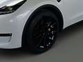 Tesla Model Y Dual Motor Long Range Wit - thumbnail 10