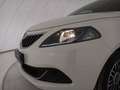 Lancia Ypsilon III 2021 1.0 firefly hybrid Gold Plus s&s 70cv 5p Bianco - thumbnail 12