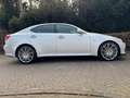 Lexus IS 250 EXECUTIVE/NL AUTO/XENON/LEER/TOPSTAAT Gris - thumbnail 22