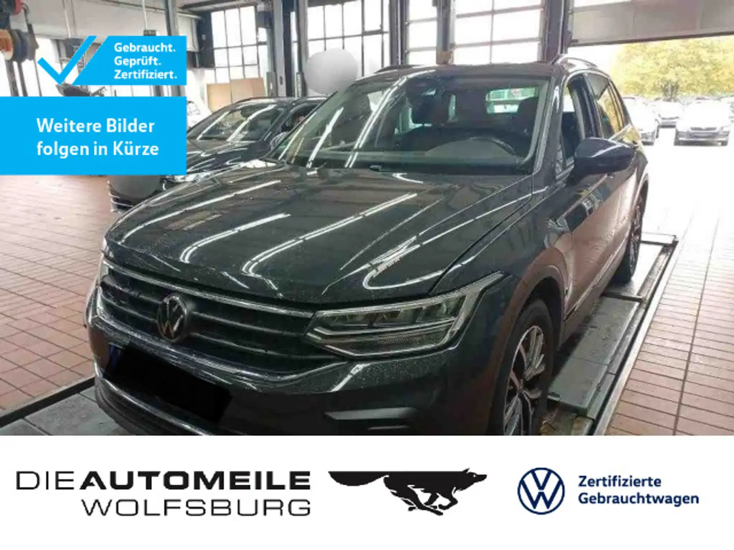 Volkswagen Tiguan 2.0 TDI Life AHK/Pano/LED/H+K/ACC Grau - 1