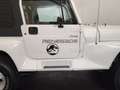 Jeep Wrangler YJ Blanc - thumbnail 28