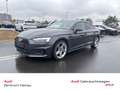 Audi A5 40 TDI QUATTRO ADVANCED MATRIX*KAM* Grau - thumbnail 1
