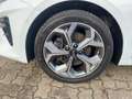 Kia Ceed SW / cee'd SW Spirit T-GDI 1.4 Sportswagon Kamera SitzHzg. Weiß - thumbnail 7