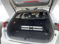 Kia Ceed SW / cee'd SW Spirit T-GDI 1.4 Sportswagon Kamera SitzHzg. Weiß - thumbnail 12