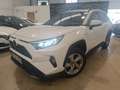Toyota RAV 4 2.5 hybrid 2WD Advance Plus Blanc - thumbnail 2