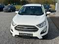 Ford EcoSport mehrere Modelle vorrätig-Garantie Blanc - thumbnail 6