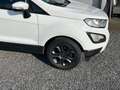 Ford EcoSport mehrere Modelle vorrätig-Garantie Bianco - thumbnail 2
