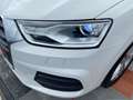 Audi Q3 2.0 TDI 150 BV6 S-LINE Blanc - thumbnail 9