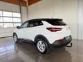 Opel Grandland X Business Edition LED,NAVI,AHV Weiß - thumbnail 5