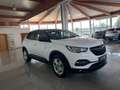 Opel Grandland X Business Edition LED,NAVI,AHV Weiß - thumbnail 3