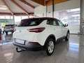 Opel Grandland X Business Edition LED,NAVI,AHV Weiß - thumbnail 4