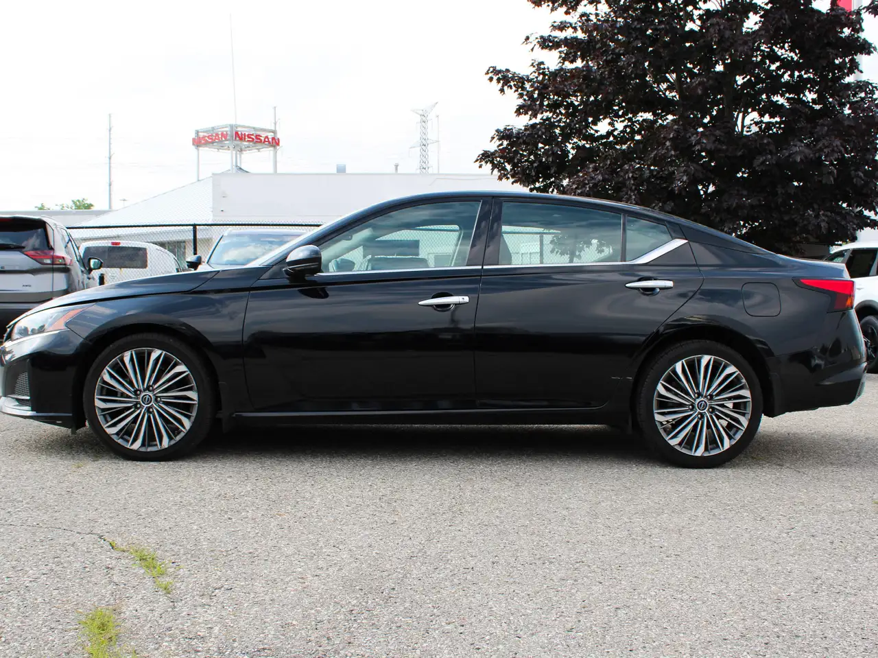 Nissan Altima fotografie Nissan Altima