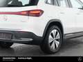Mercedes-Benz EQA 300 EQA 300 4M Progressive Kamera Vorr.-Distronic LED Blanc - thumbnail 9