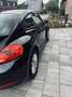 Volkswagen Beetle The 1.2 TSI - thumbnail 6