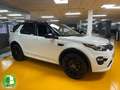 Land Rover Discovery Sport 2.0 TD4 150 CV SE Blanc - thumbnail 11