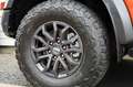 Ford Ranger Raptor e-4WD Raptor Paket,Techno73,Rollo el.,AHK Portocaliu - thumbnail 30