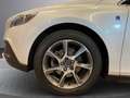 Volvo V40 V40 Cross Country 1.6 d2 Volvo Ocean Race Bianco - thumbnail 8
