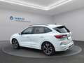Ford Kuga 2,0 EcoBlue AWD ST-Line X Aut. Weiß - thumbnail 4