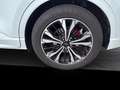 Ford Kuga 2,0 EcoBlue AWD ST-Line X Aut. Weiß - thumbnail 17
