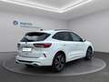 Ford Kuga 2,0 EcoBlue AWD ST-Line X Aut. Weiß - thumbnail 6