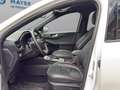 Ford Kuga 2,0 EcoBlue AWD ST-Line X Aut. Weiß - thumbnail 9