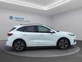 Ford Kuga 2,0 EcoBlue AWD ST-Line X Aut. Weiß - thumbnail 7
