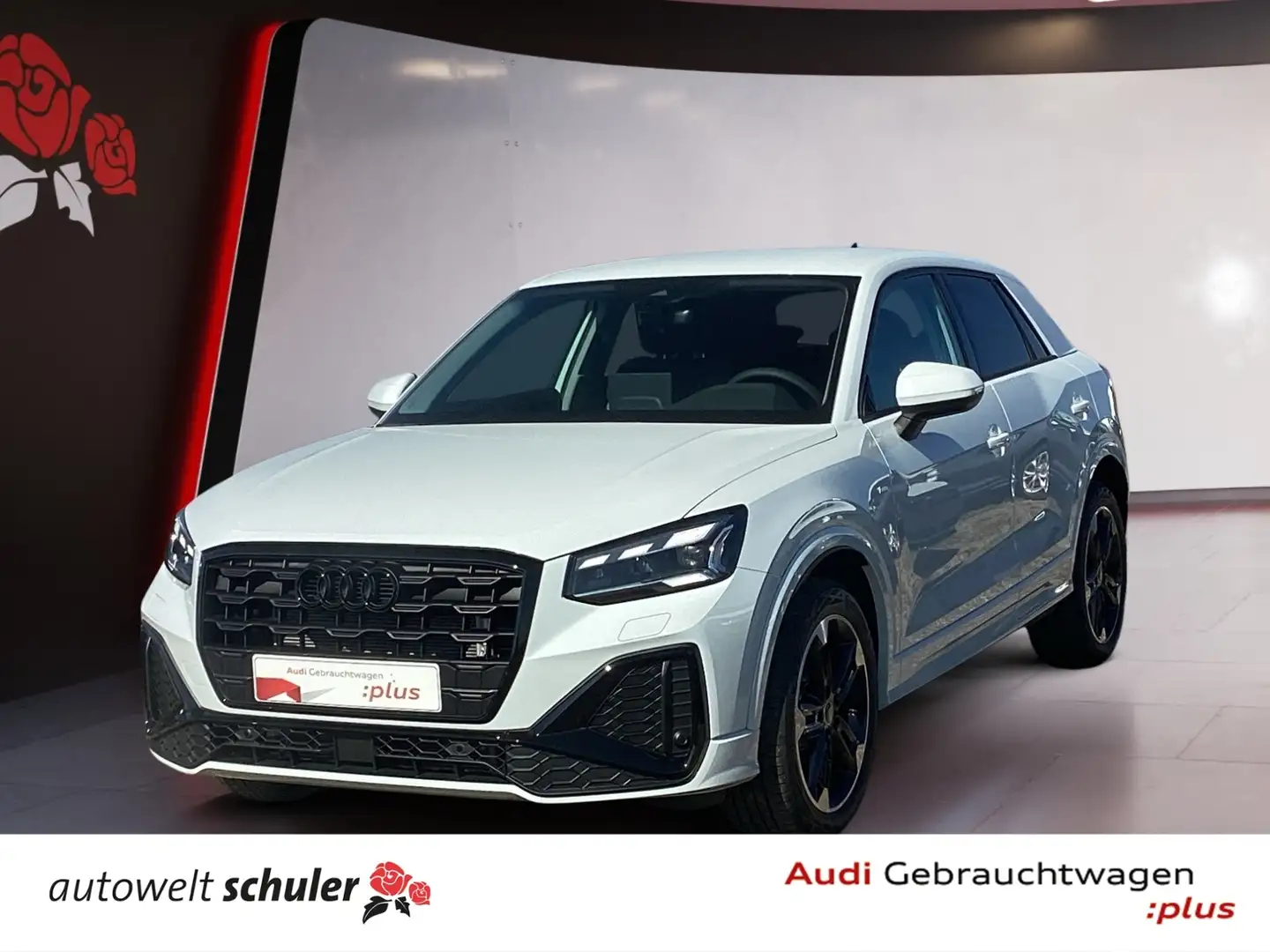 Audi Q2 35 2.0 TDI S-tronic S-line AHK Matrix-LED ASI Weiß - 1