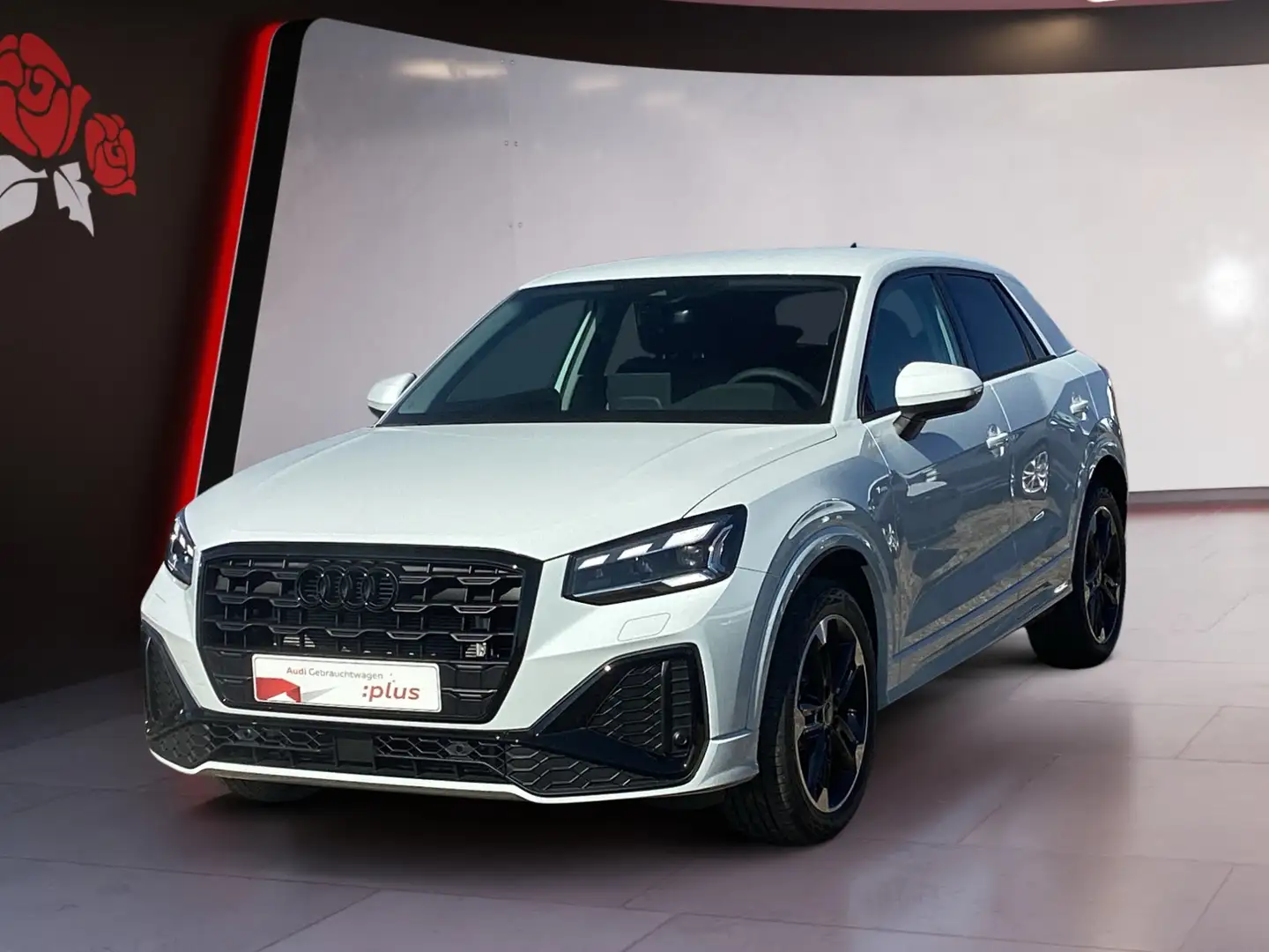 Audi Q2 35 2.0 TDI S-tronic S-line AHK Matrix-LED ASI Weiß - 2