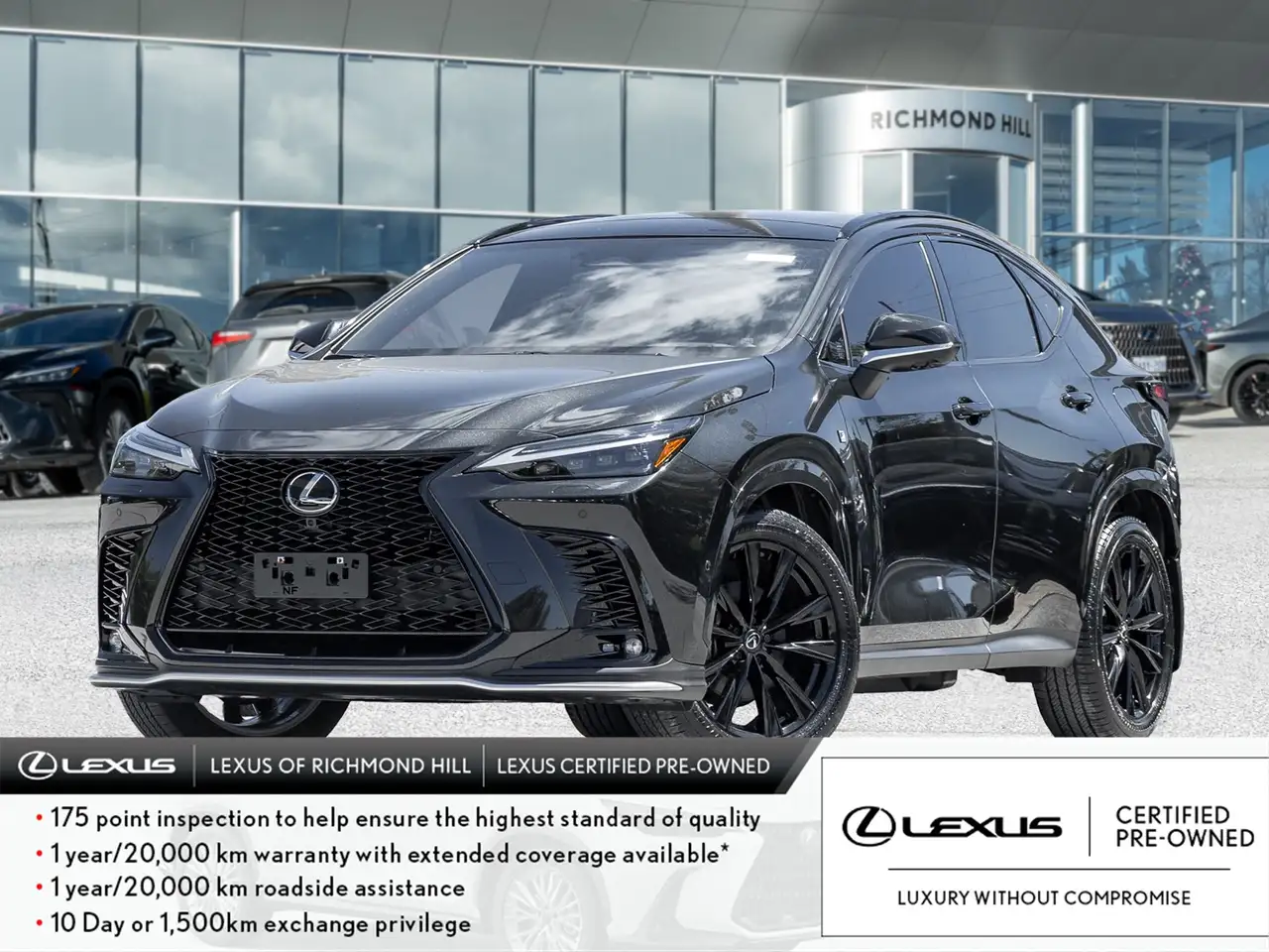 2025 Lexus NX