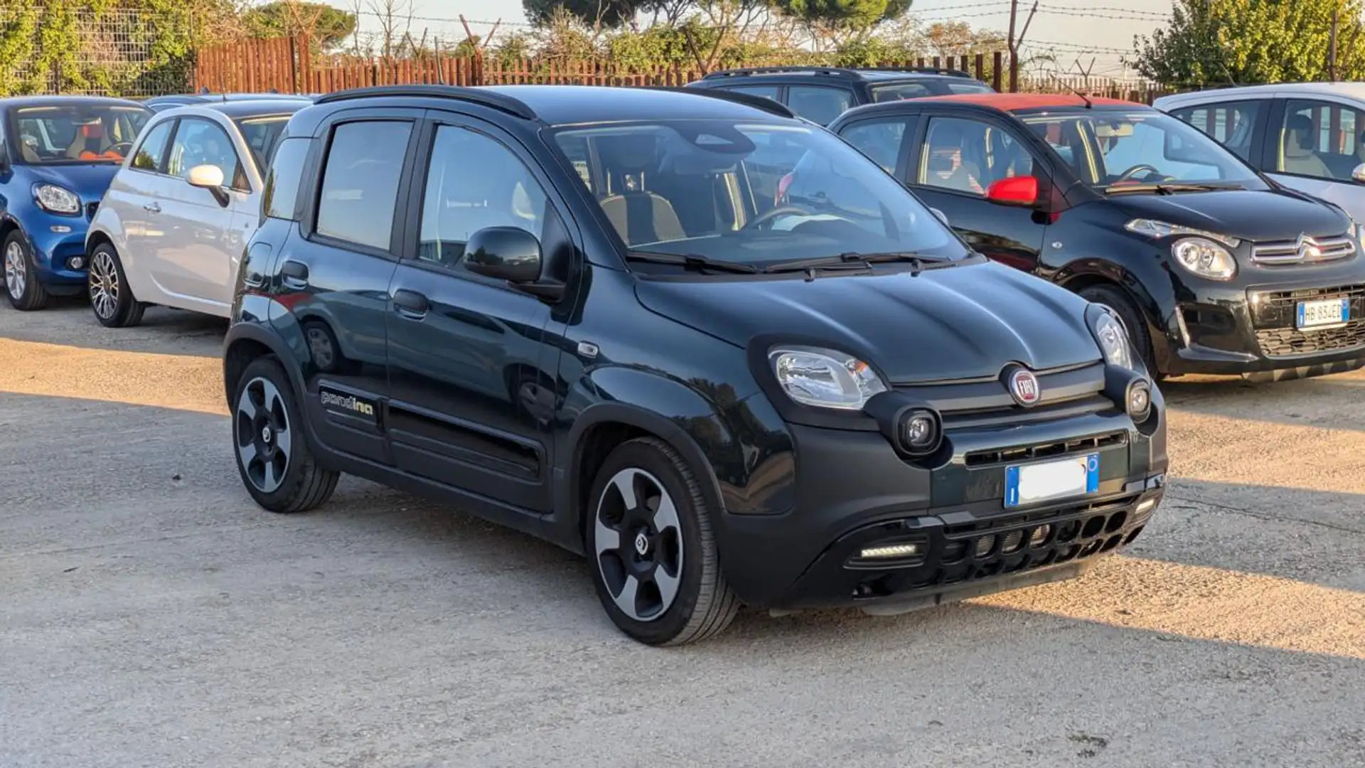 Fiat Panda PANDINA CROSS HYBRID 1.0cc70cv Verde - 2